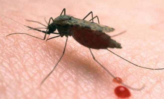 malaria kills many people per day
