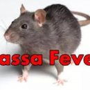 lassa fever 1
