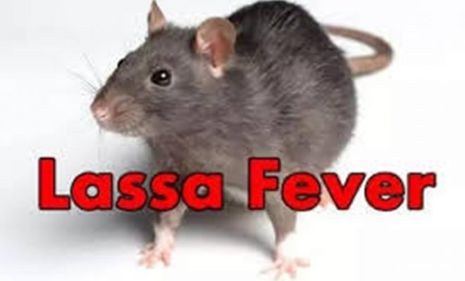 lassa fever 1
