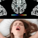 woman and sex.jpeg