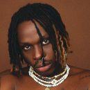 fireboy dml