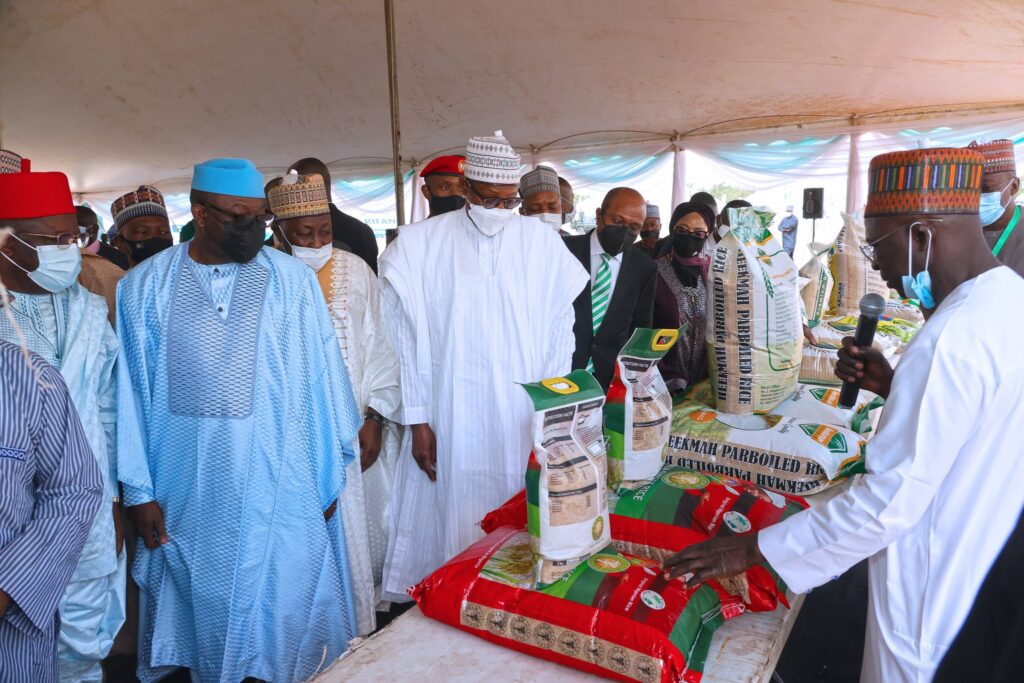 rice pyramid in abuja8 1024x683