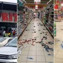 shoprite (1)