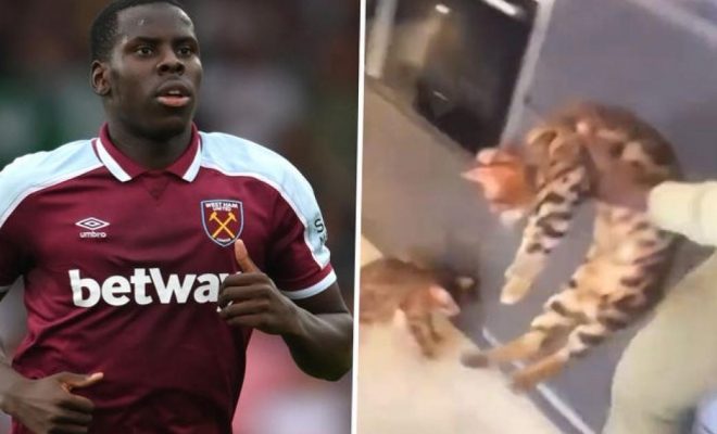 kurt zouma cat west ham