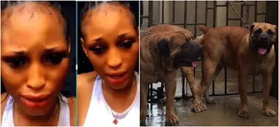 lekki ladies sleep with dogs 768x349.jpg