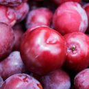 plum fruit