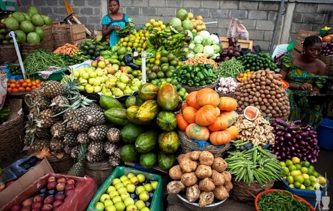 https://www.flormedia.com/wp-content/uploads/2022/08/food-security.webp