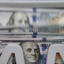 fx revaluation gains by cbn