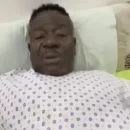mr. ibu