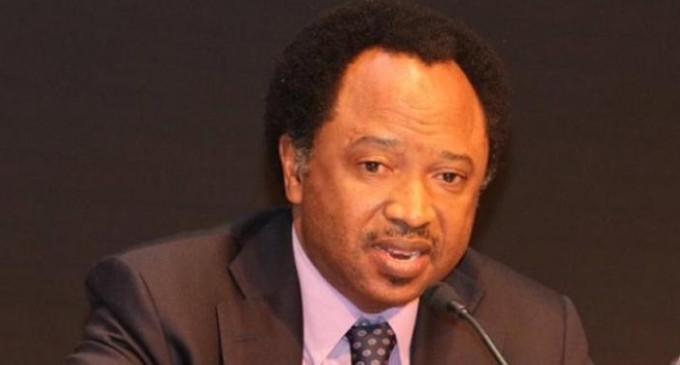shehu sani