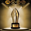 10th africa magic viewers choice awards