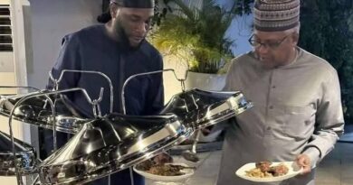Burna Boy and Dangote