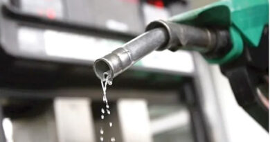 Fuel
