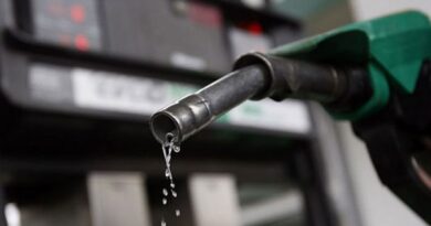 Fuel