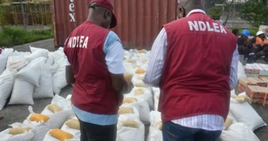 NDLEA