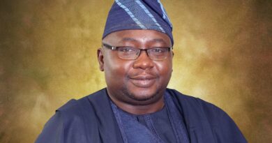 The Minister of Power, Adebayo Adelabu