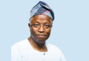 Prof. Adamolekun