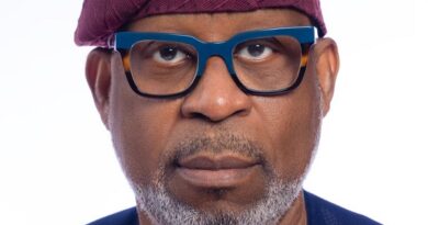 The Minister of Solid Minerals Development, Dele Alake