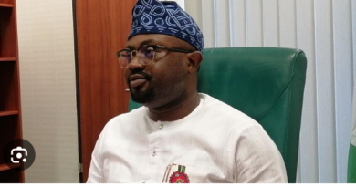 Minister of Interior, Dr Olubunmi Tunji-Ojo