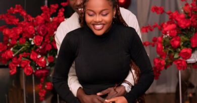 Spyro and his girlfriend