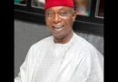 Ned Nwoko